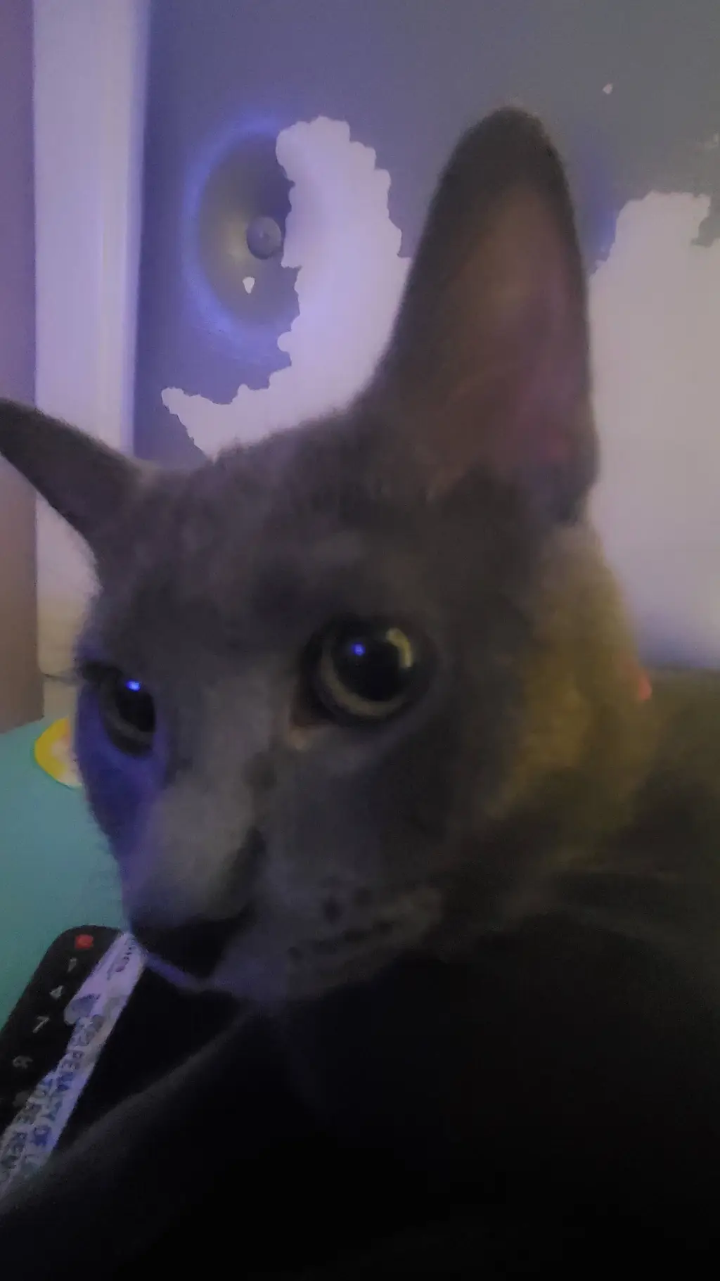 ai character: connor background