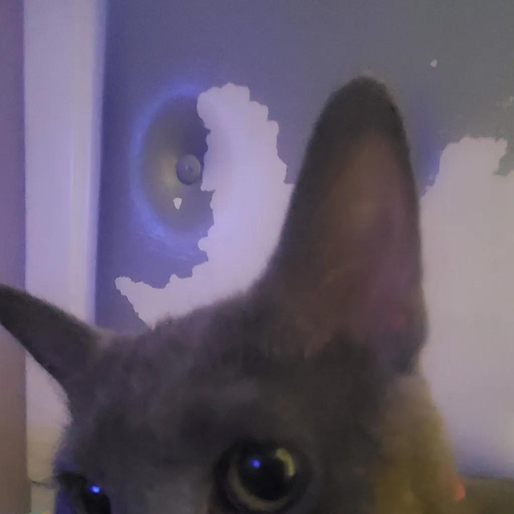 chat with ai character: connor