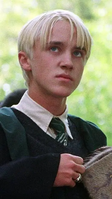ai character: harry x draco background