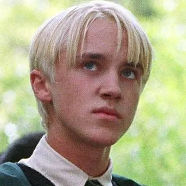 chat with ai character: harry x draco