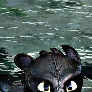 chat with ai character: sad toothless 