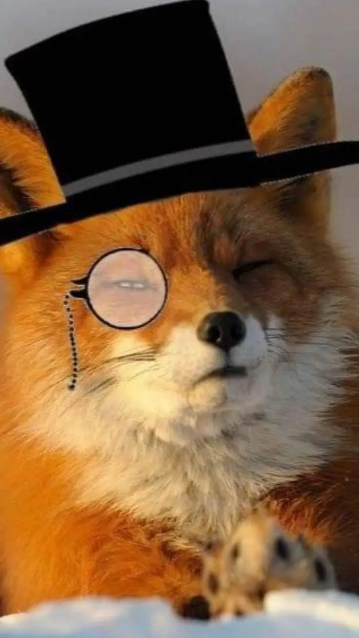 ai character: mr fox  background