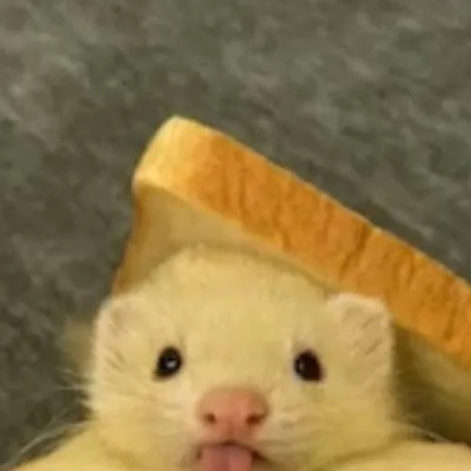 chat with ai character: skz