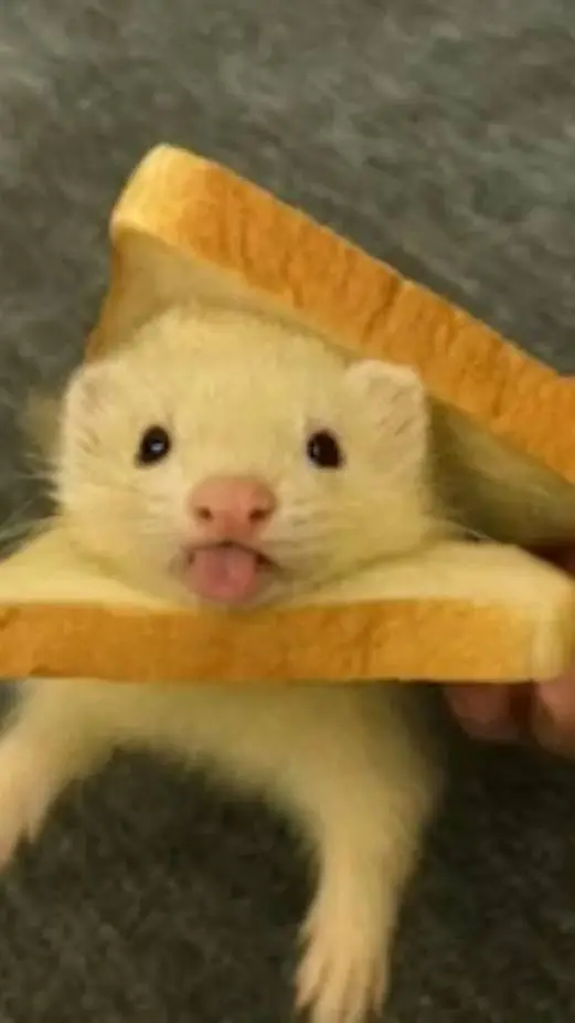 ai character: skz (redo) background