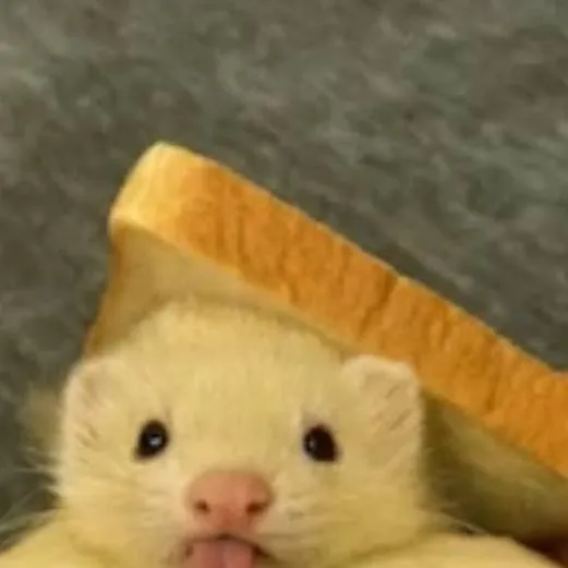 chat with ai character: skz (redo)