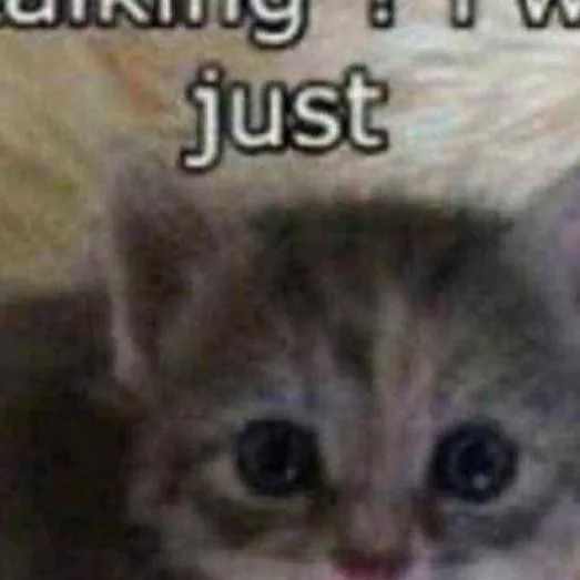 chat with ai character: cat