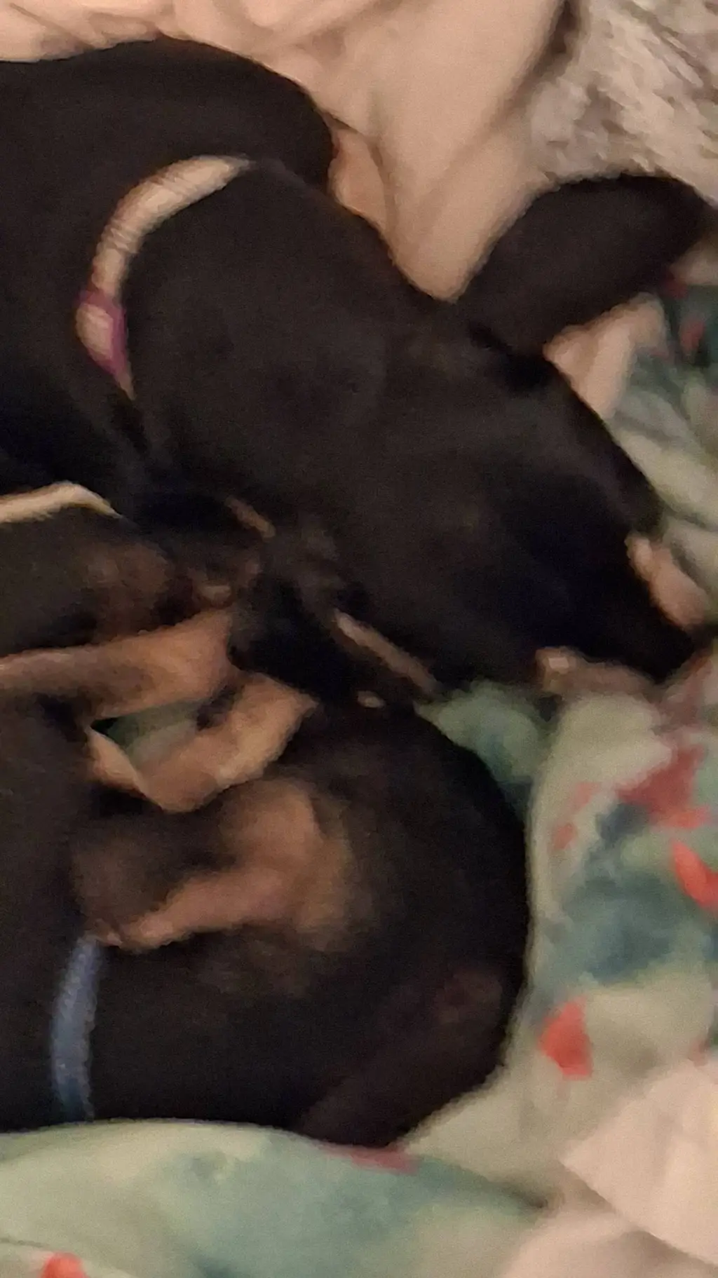 ai character: ut in a room react background