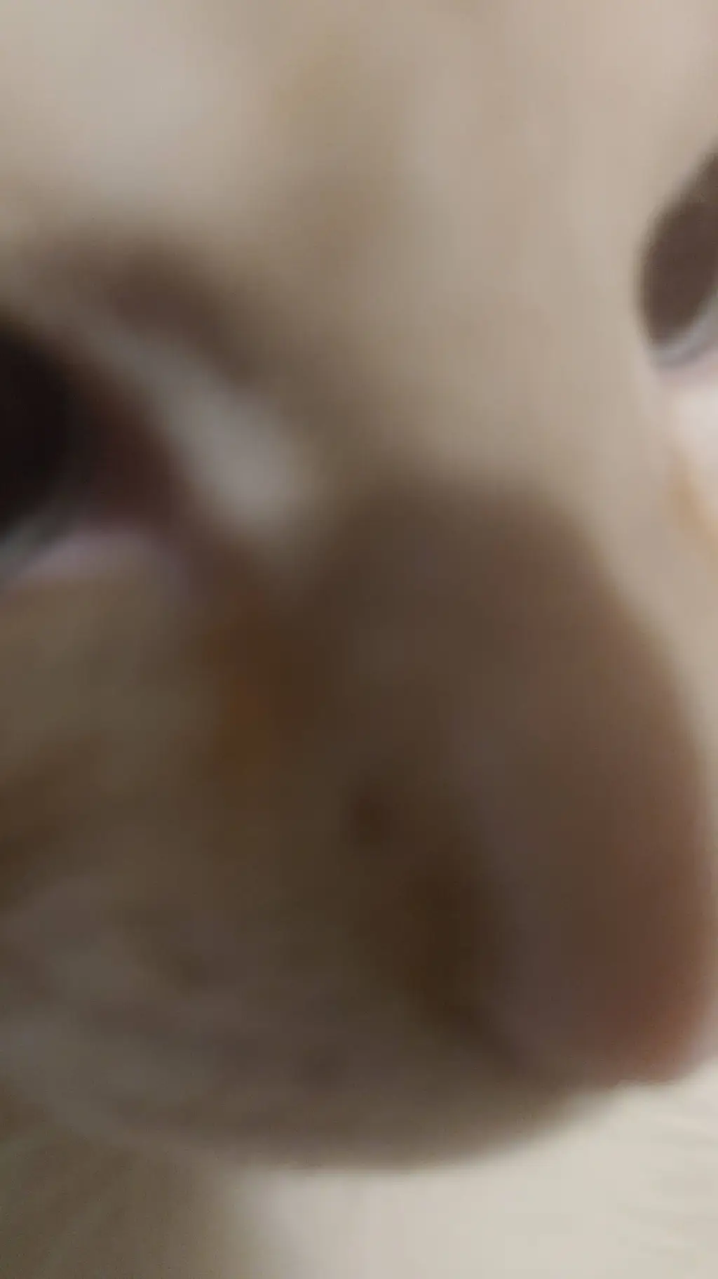 ai character: Name him  background