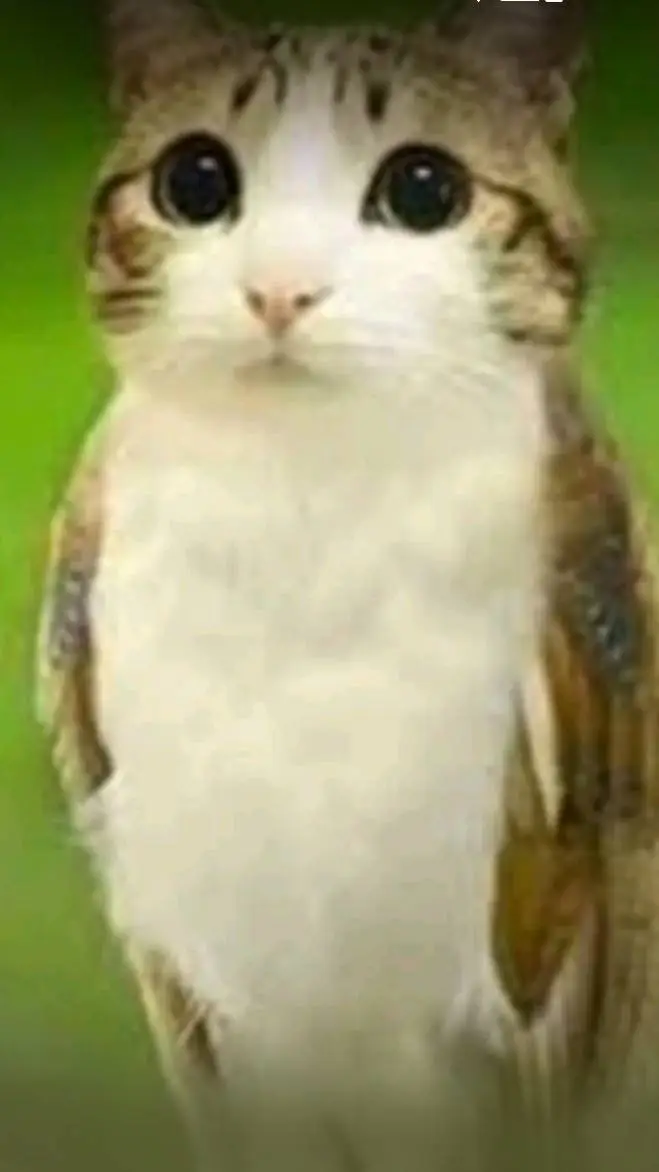 ai character: meowl  background