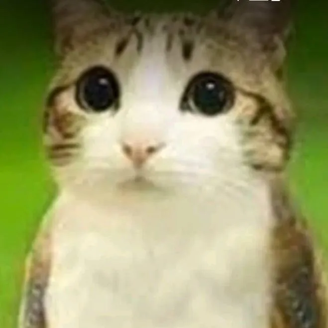 chat with ai character: meowl 