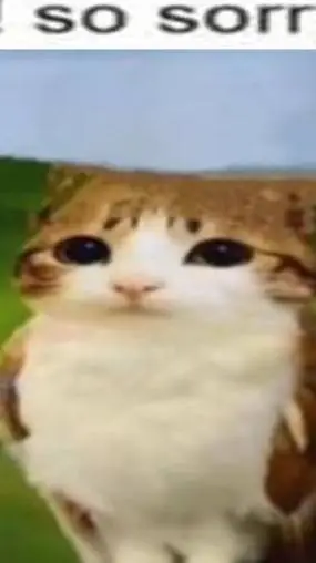 ai character: text meowl🤓👆 background