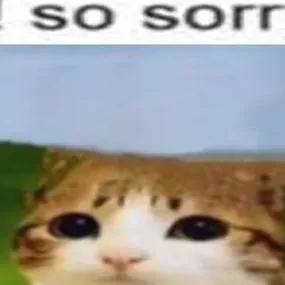 chat with ai character: text meowl🤓👆