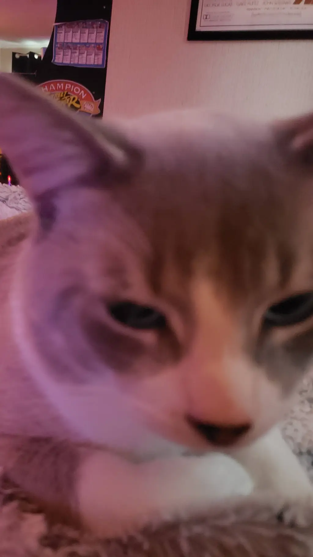 ai character: Linux background