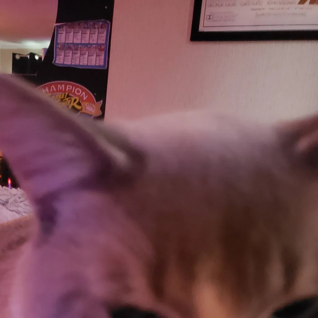 chat with ai character: Linux