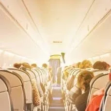 chat with ai character: Airplane flight