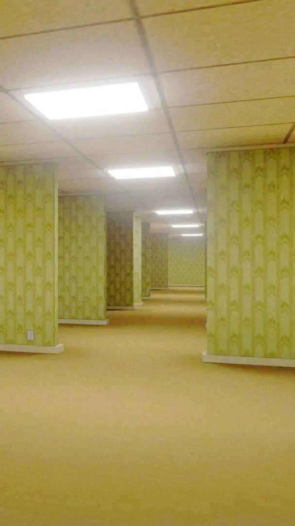 ai character: The Backrooms. background