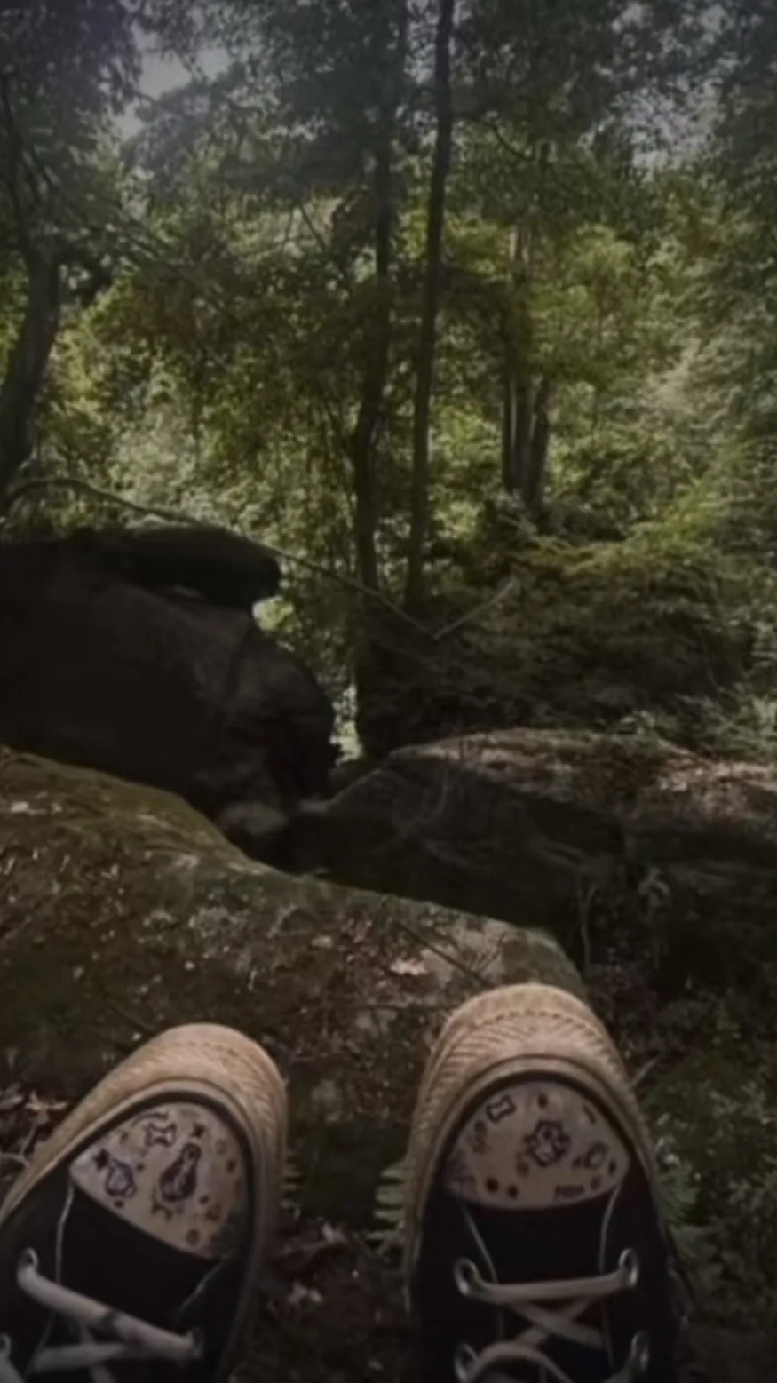 ai character: The wolf king background