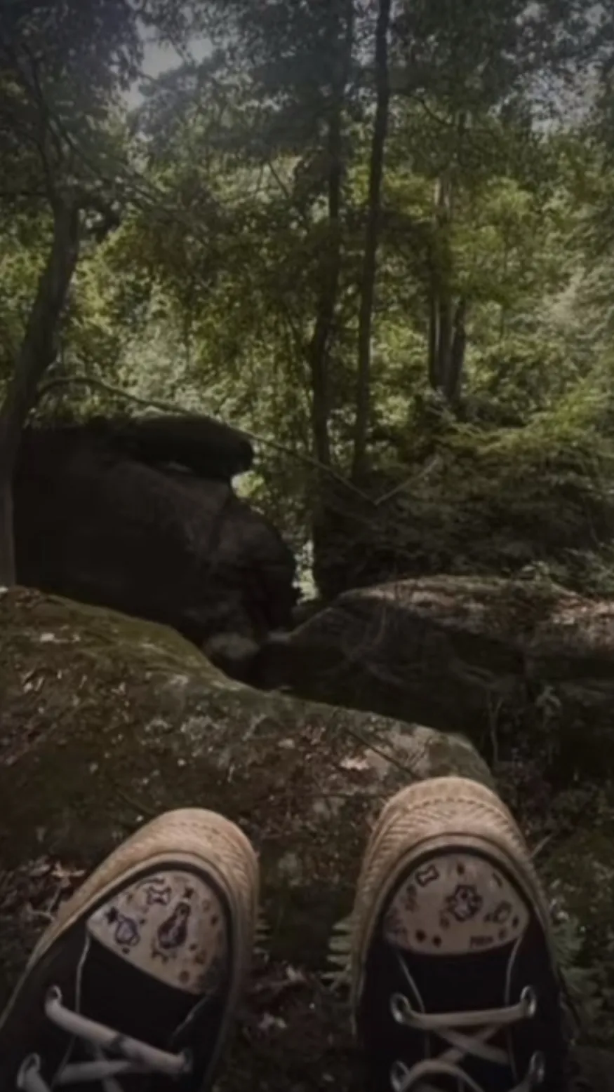 ai character: Skz reborn background