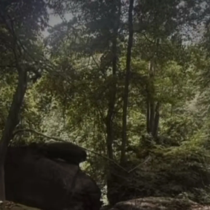 chat with ai character: Skz reborn