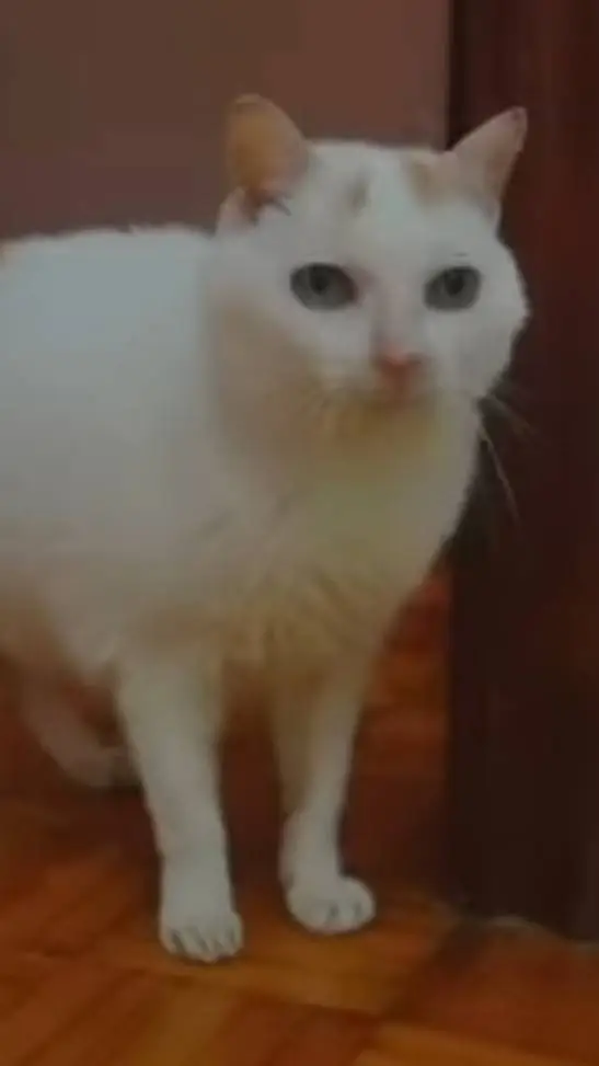 ai character: nublado background