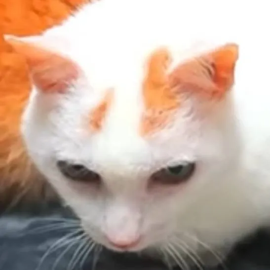 chat with ai character: 💫mini nublados💫