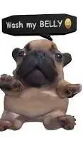 ai character: pibble background
