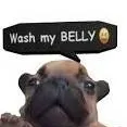 chat with ai character: pibble