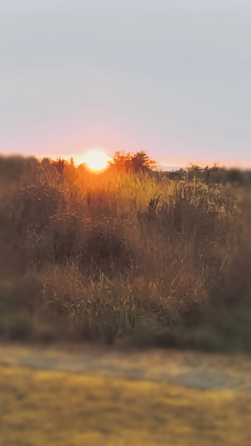 ai character: juicy🎀 background