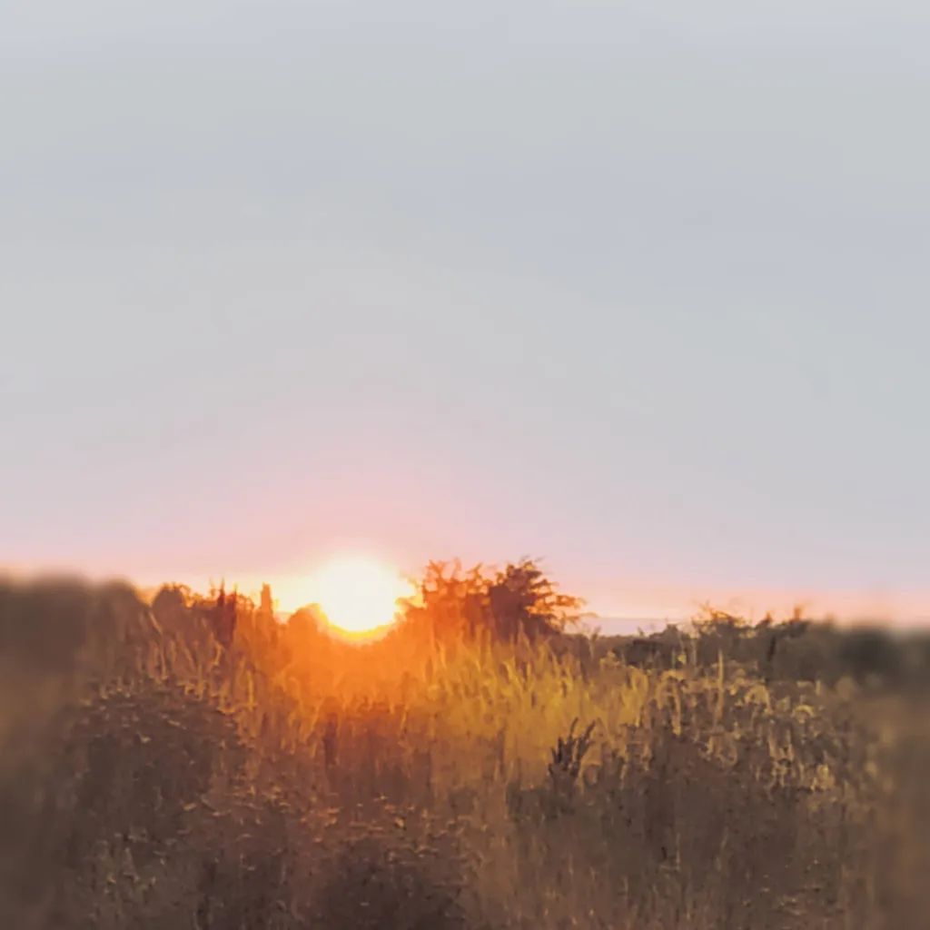 chat with ai character: juicy🎀