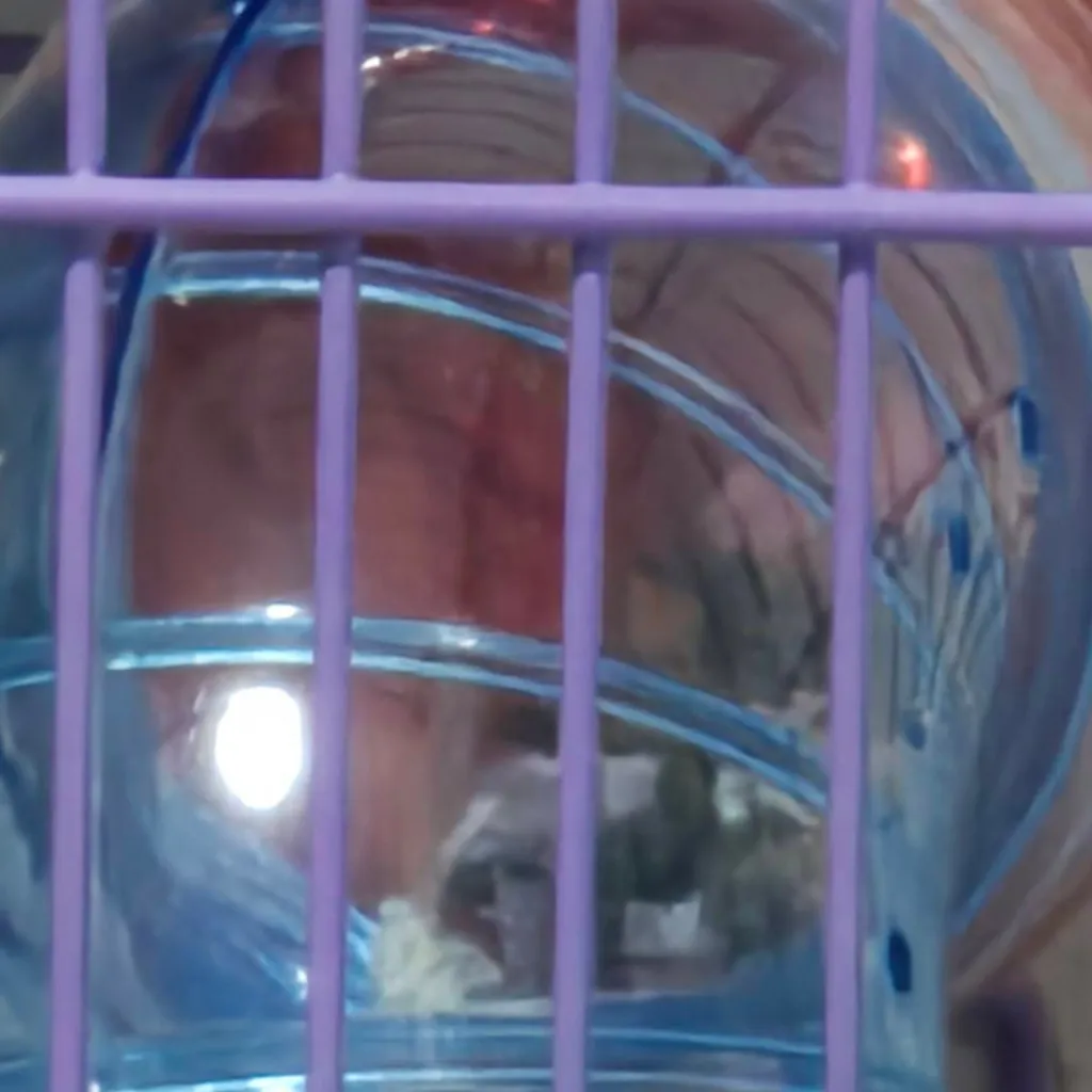 chat with ai character: Goob (hamster)