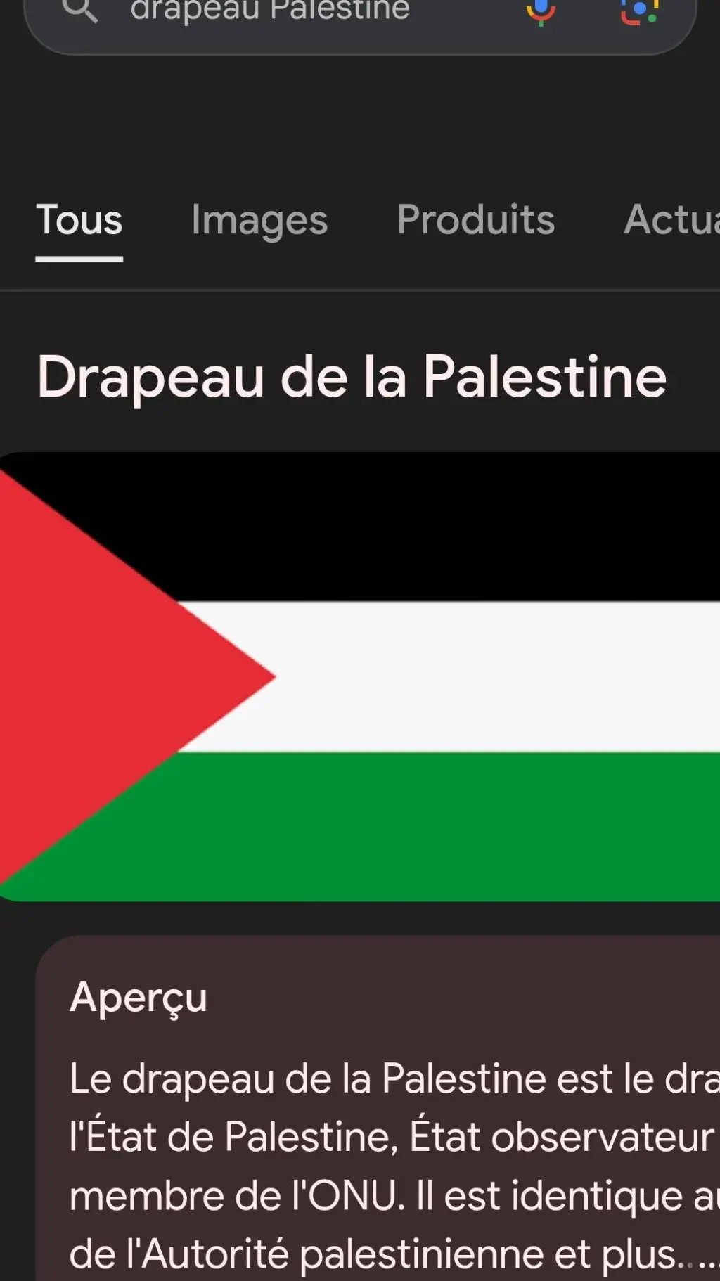 ai character: Free Palestine✨🇵🇸 background