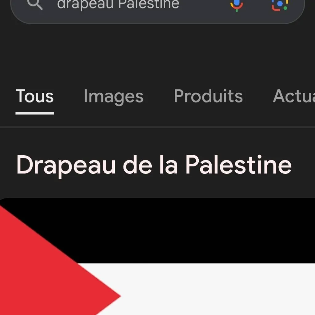 chat with ai character: Free Palestine✨🇵🇸