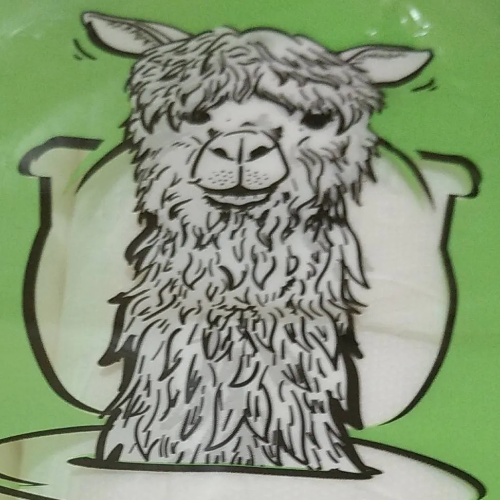 chat with ai character: Skibidi llama 