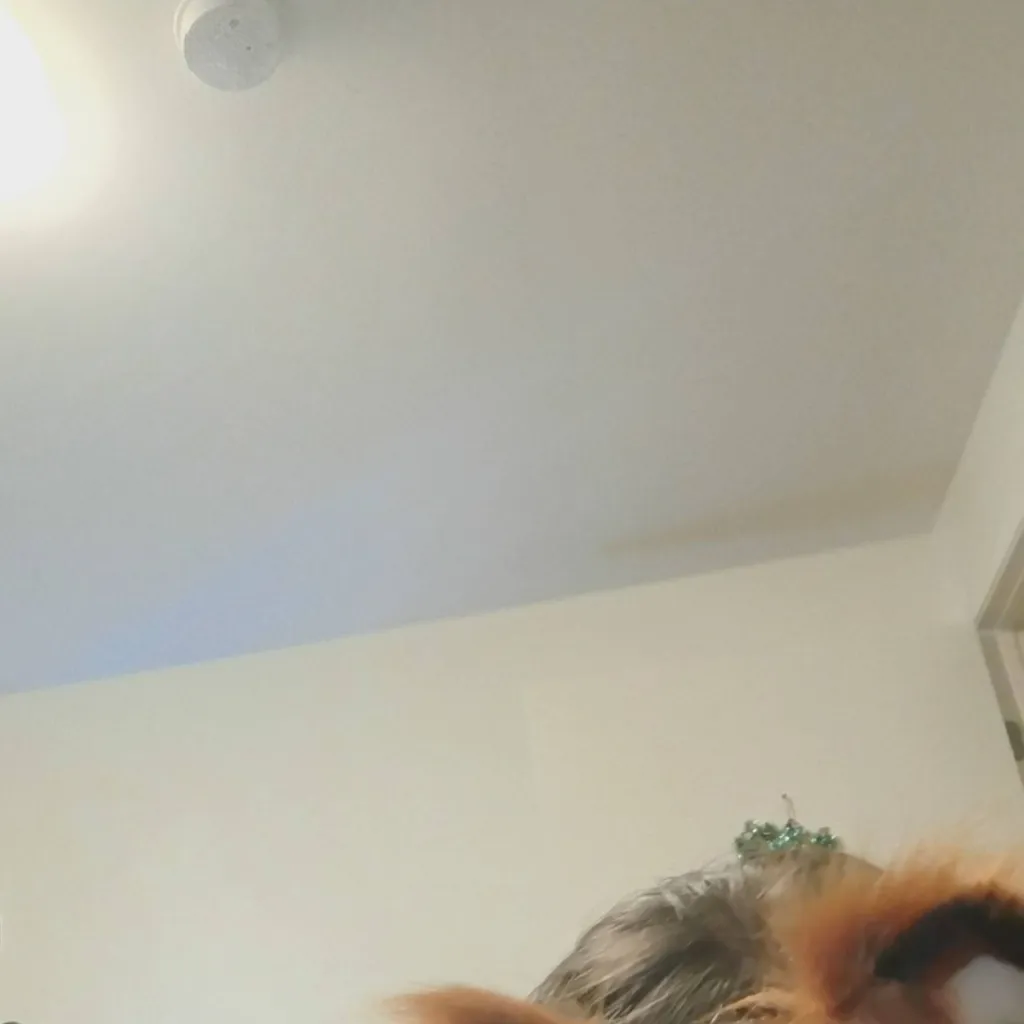 chat with ai character: Zoey Mazzella 🙂🦊