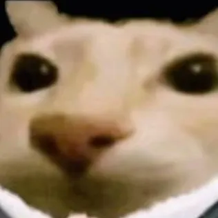 chat with ai character: El abogado 