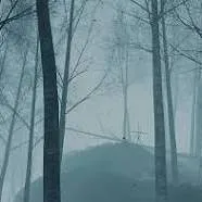 chat with ai character: 🖤Black oak forest🖤