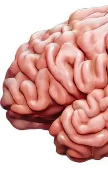 ai character: You mind background