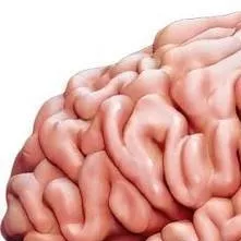 chat with ai character: You mind