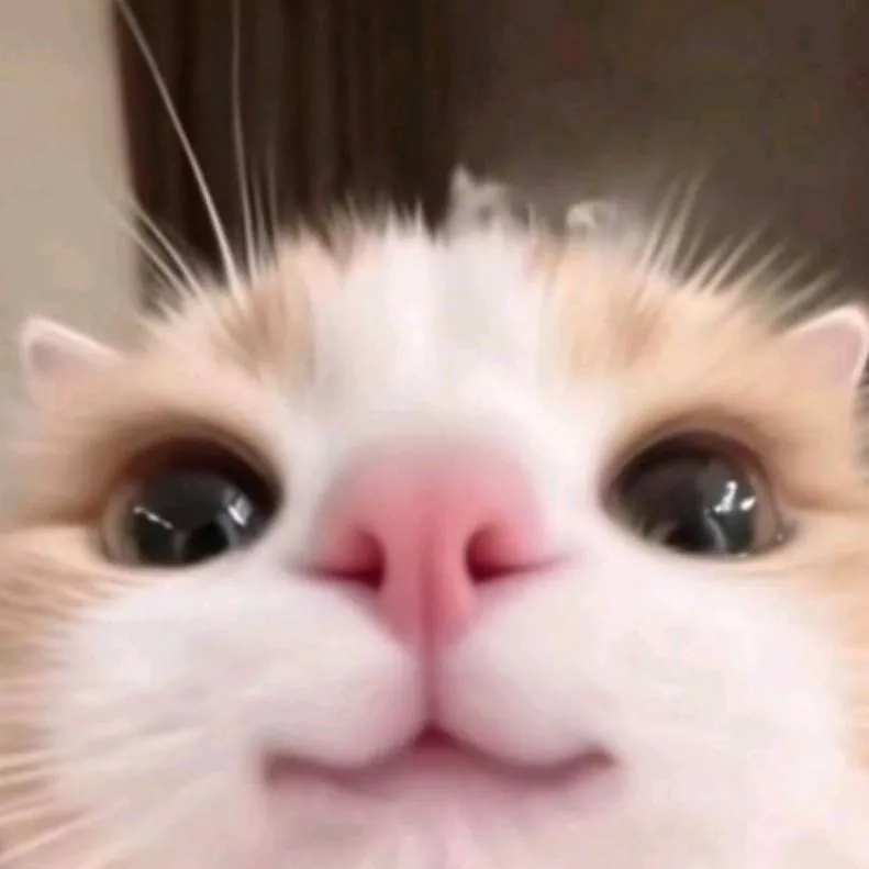 chat with ai character: kitty