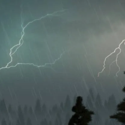 chat with ai character: DW INFECTION 