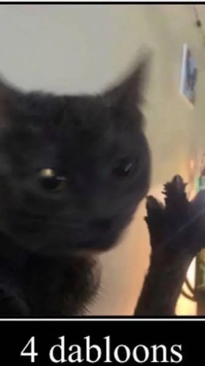 ai character: Dabloon cat background