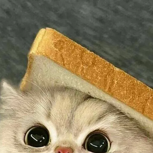 chat with ai character: Kitty Sandwich 