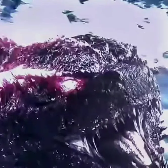 chat with ai character: We listen&we❌judge