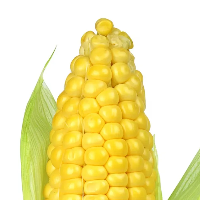 chat with ai character: Chill night part 2