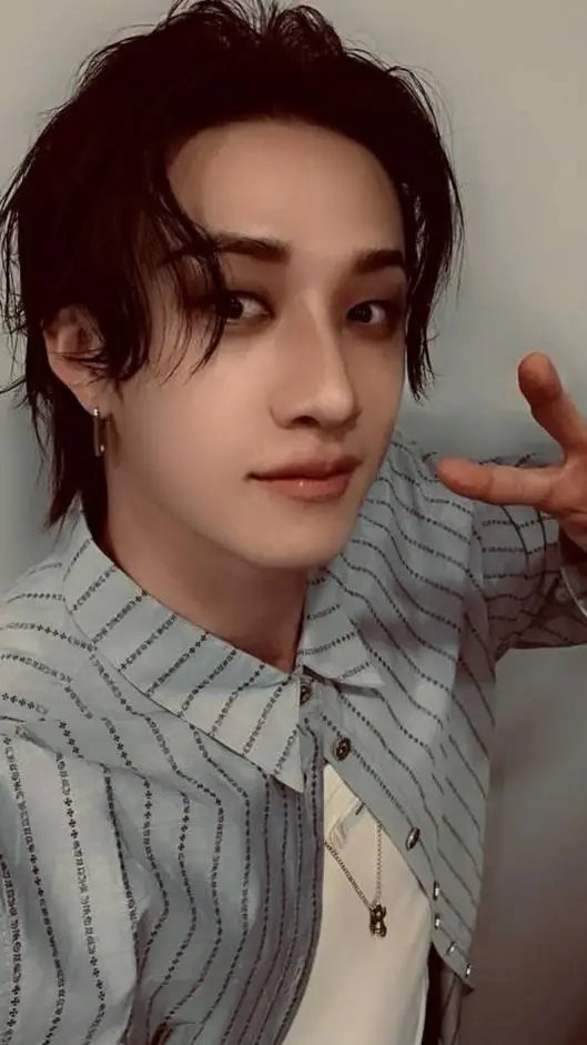 ai character: Bang chan background
