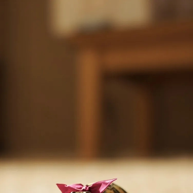 chat with ai character: Pet turtle 🐢🫶