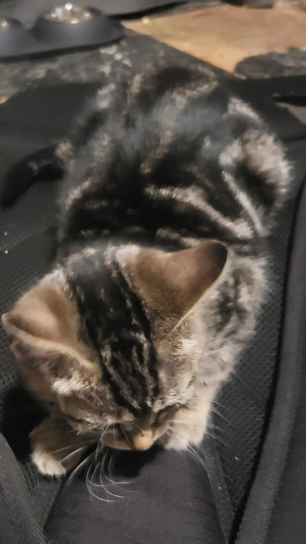 ai character: pugsley × Eugene background