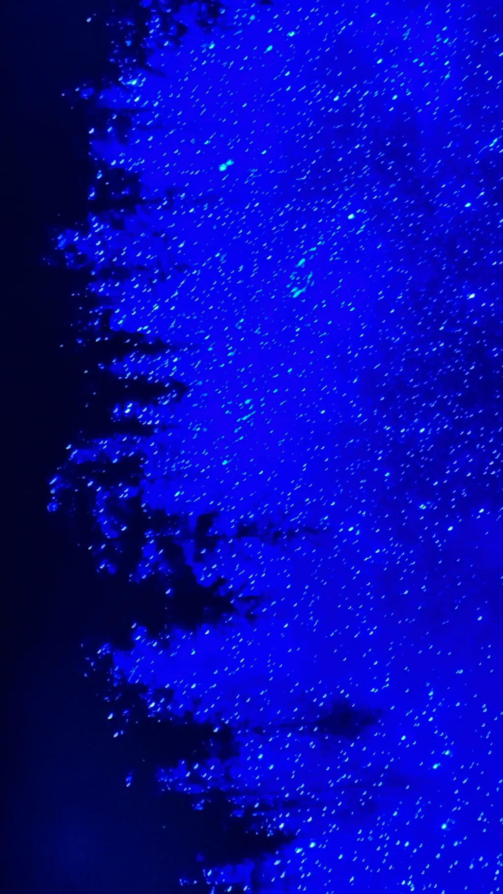 ai character: S phase 5 d: t & l background