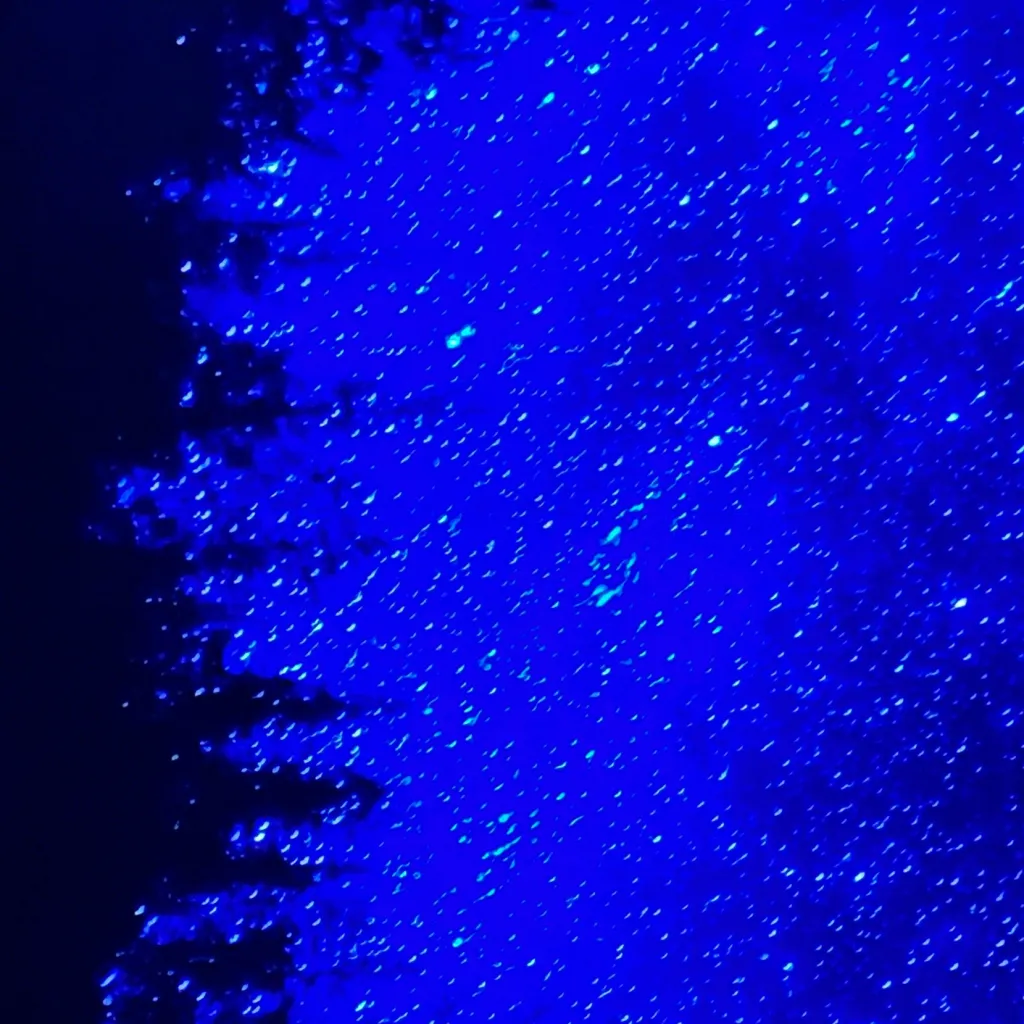 chat with ai character: S phase 5 d: t & l