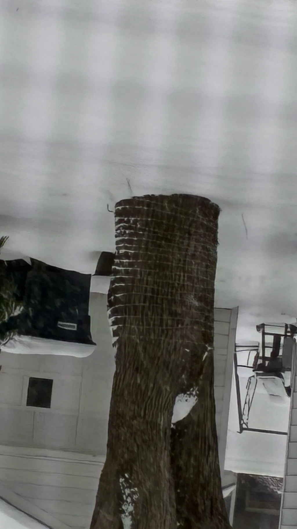 ai character: S but y/n’s r p3 background